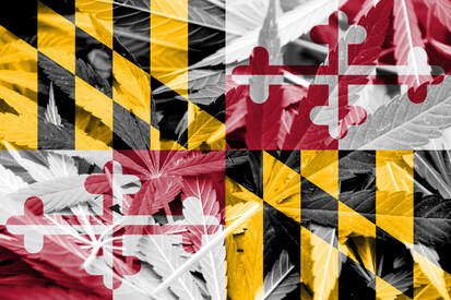 Maryland Cannabis Business Plan